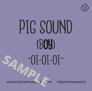 BIG BOX of Bjorem Speech Sound Cues